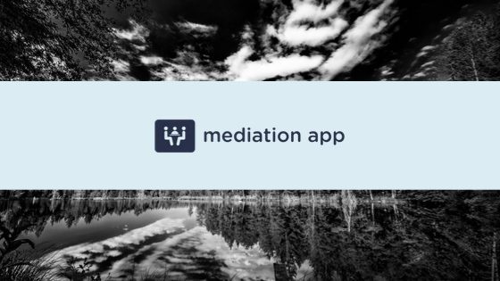 Appraiser professional