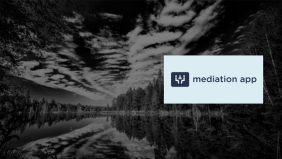 Accountant professional